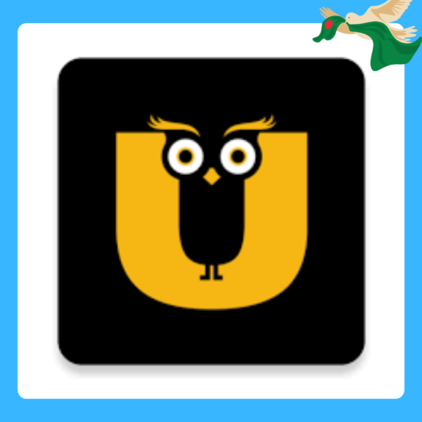 ullu subscription price for 1 month